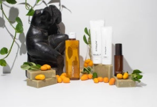 VITAMIN C + BAKUCHIOL Body Serum-in-Cream